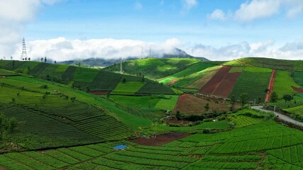 Wall Mural - Timelapse view of lush tea plantations and colorful farmlands across rolling hills, with dappled sunlight and clouds passing over misty mountains, creating a dynamic and captivating landscape.