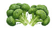 © Jim - Illustration of two broccoli florets with water droplets on transparent background
