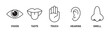 © ISHWARAN - Human senses icon set. Vision eye, smell nose, hearing ear, touch hand, taste mouth with tongue. Simple line icons in circle. Five senses of human nervous system. set of five senses icon.