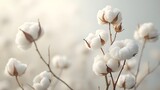 Soft White Cotton Bolls on Branches Close Up