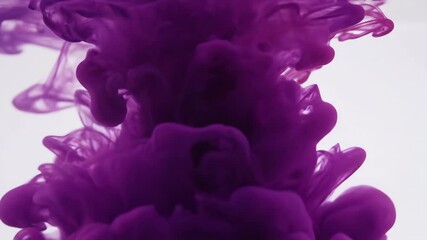 Wall Mural - mesmerizing blend of purple and magenta ink creating intricate, evolving tendrils in crystal clear w