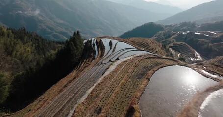 Wall Mural - Aerial of flooded Longsheng rice terraces reflecting sunlight near Guilin, Guangxi, China