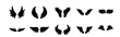 © Massale - different types of wings vector set in black color