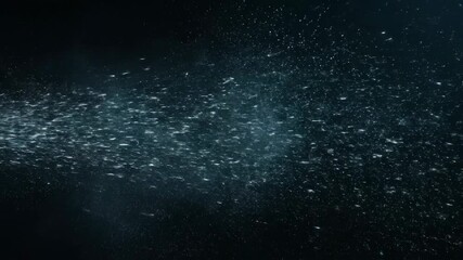 Wall Mural - Seamlessly Looping Abstract Particle Storm with Rushing Silver and Teal Luminescence glitter, ethereal, fluid