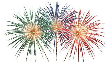 Vibrant fireworks exploding in a colorful display against a black night sky, perfect for celebration and festive events