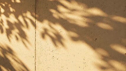 Wall Mural - serene slow motion of dappled sunlight patterns gracefully shifting and dancing across a textured wa
