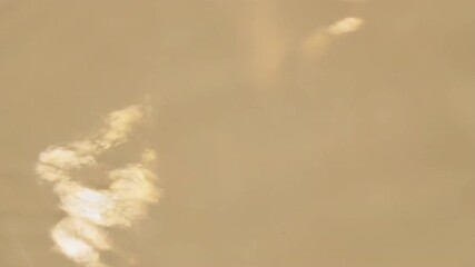 Wall Mural - shimmering gold and white light reflections dance on an ethereal liquid surface, a seamlessly loopin