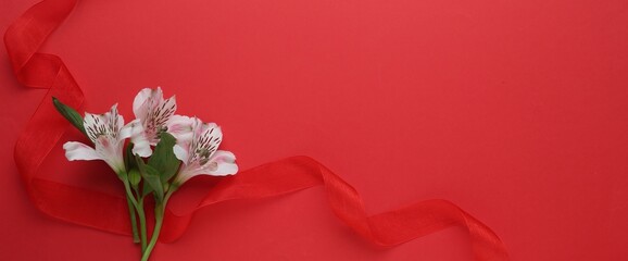 Wall Mural - Beautiful ribbon and alstroemeria flowers on red background, flat lay. Space for text
