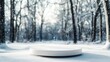 © bejo stock - Snowy forest winter scene; product display platform; background blur; winter product showcase