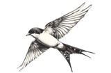A detailed sketch of a swallow in flight, isolated on transparent background, showcasing its dynamic pose and intricate feather details in a monochrome style