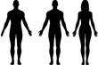 © Vexora Studio - Male and Female Body Silhouettes: Human Figures for Anatomy & Design.
