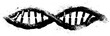 © Artem - Black and white dna helix stencil illustration for science and education designs