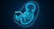 © fdp - Fetus Development in Womb with Futuristic Blue Holographic Interface, Science Concept