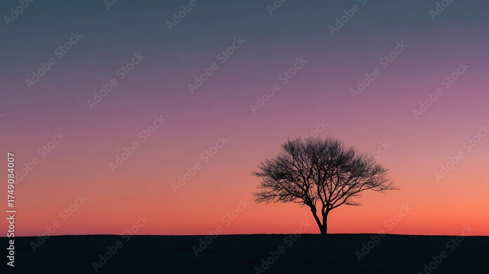 Minimalist silhouette of lone tree against glowing sunset sky dramatic ...