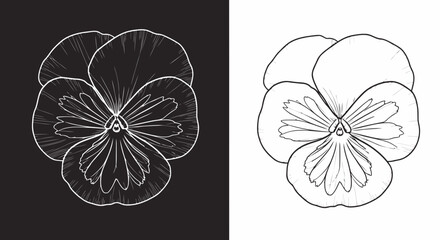 Wall Mural - Detailed outline illustration of a pansy flower in silhouette style on black and white backgrounds