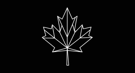 Wall Mural - Geometric white outline of a maple leaf on a black background silhouette
