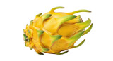 Isolated yellow dragon fruit with green scales, also called pitaya or pitahaya cactus fruit