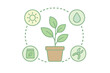 © Alan - Potted plant life cycle stages and essential care requirements diagram