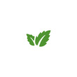 © kmhbDOes - Stevia sweetener icon logo flat vector design