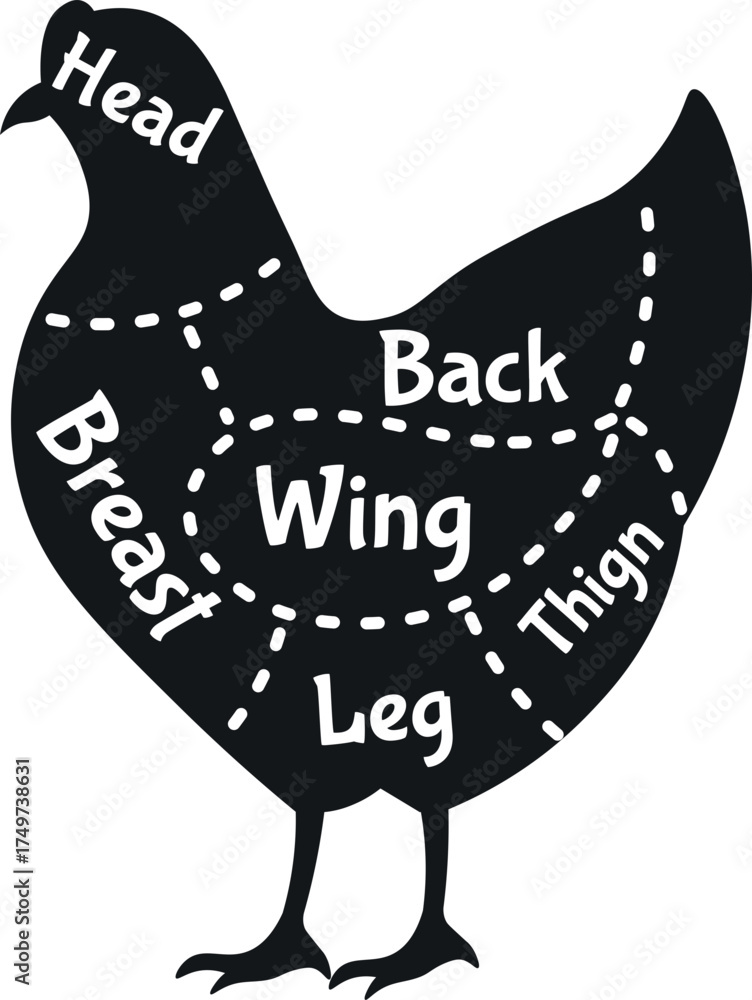 Chicken cuts diagram showing butchery chart poultry meat Stock Vector ...