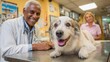 © natalikp - compassionate veterinarian examining a dog on a stainless steel table