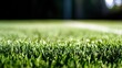 © yun - synthetic. Close-up of lush green artificial grass with a softly blurred background. travel magazines, destination branding, designed for travel destination branding, elevates destination branding.