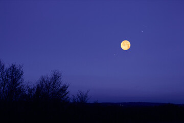 Wall Mural - Full Moon, stars, planets and landscape scenery silhouettes.