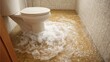 © Formoney - Water has overflowed from the toilet creating a significant flood on the bathroom floor. The scene captures urgent need for cleanup to prevent further damage.