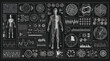 © S.Siam - Vector art of advanced human body scan interface displaying detailed anatomical data and vital signs, showcasing cuttingedge medical technology and diagnostic capabilities on a dark background