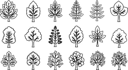 stylized line art illustrations of trees with varying leaf structures.
