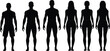 © Itz Marjia - Human silhouette, male and female, body shape comparison, anatomical reference, character modeling, simplified anatomy, standing pose, black figures, design guide, gender difference, body