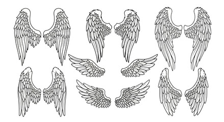 Wall Mural - Collection of six pairs of detailed angel wings line art.