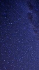 Wall Mural - A mesmerizing video concept of a starry night sky, captured from a low-angle view, showcasing countless twinkling stars against a deep blue backdrop. Live mobile wallpaper.