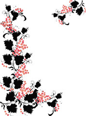 Wall Mural - different red and black berries designes isolated on white background