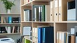 © Koplexs-Stock - Shelves filled with ring binders and documents in an office or study.