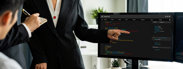 Software development programming on computer screen for brisk application and program coding