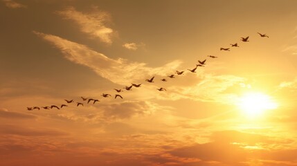 Wall Mural - Flock of Birds Flying Across the Golden Sunset Sky with Vibrant Colors and Soft Clouds Creating a Serene Nature Landscape Scene