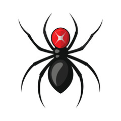 black spider on a white background