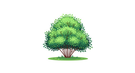 A lush green deciduous tree with dense foliage and a bushy appearance.