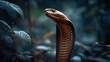 © elenaed - A majestic king cobra standing tall hood flared reptiles exuding power and danger in the dense jungle