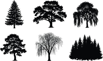  gBlack tree silhouettes of six different shapes showing unique branching patterns, canopy structures, foliage density, natural design, forest, ecology, landscape illustration