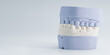 © Maximusdn - Orthodontic plaster model of human teeth alignment