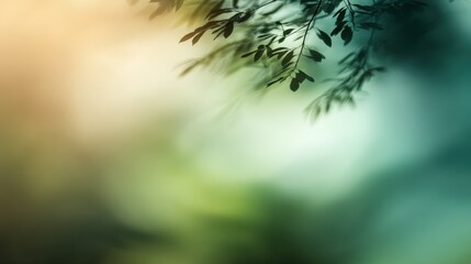 Wall Mural - Serene Nature Abstract with Soft Focus Leaves and Dreamy Bokeh Background for Graphic Design