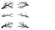 © RafiaStock - Vector art of collection of six black tree branch silhouettes