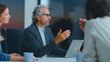 © Videophilia - Mature businessman with gray hair and beard actively discussing strategies and ideas with diverse colleagues sitting around a table during a professional corporate office meeting