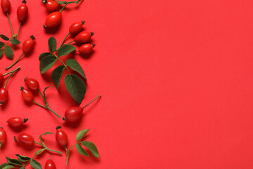 Wall Mural - Fresh rose hip berries and leaves on red background