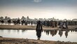 © Sidi - A person walks towards a crowded gathering near a body of water. Camels and other people are visible in the distance