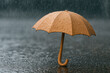 © Olena - A cardboard umbrella in the rain with water droplets.