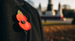 © DESIGN MOSAI - Closeup of a poppy on a coat lapel for remembrance day commemoration
