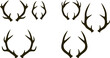 © Peacock - Antlers and Horns Icon Set Silhouette Design Animal Horns Vector Illustration.